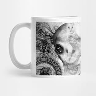 Aliens are real Mug